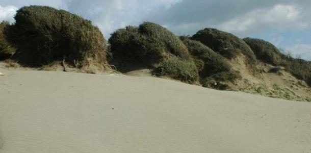 Sun&Seaguesthouse Lido Di Roma 丽都迪奥斯蒂亚 外观 照片